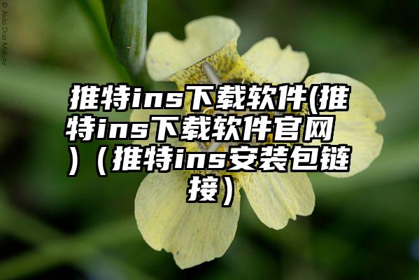 推特ins下载软件(推特ins下载软件官网 )（推特ins安装包链接）