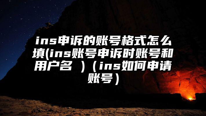 ins申诉的账号格式怎么填(ins账号申诉时账号和用户名 )（ins如何申请账号）