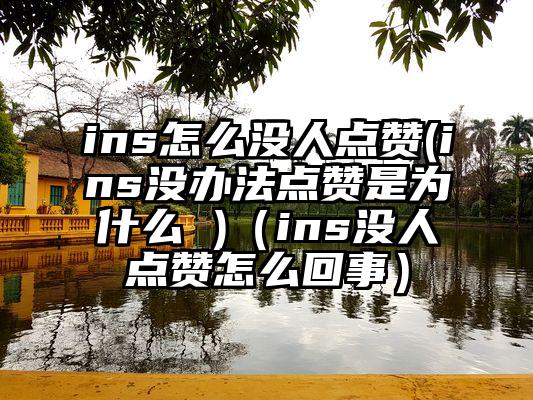 ins怎么没人点赞(ins没办法点赞是为什么 )（ins没人点赞怎么回事）