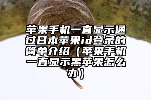 苹果手机一直显示通过日本苹果id登录的简单介绍（苹果手机一直显示黑苹果怎么办）