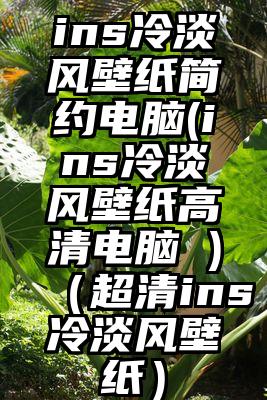 ins冷淡风壁纸简约电脑(ins冷淡风壁纸高清电脑 )(超清ins冷淡风壁纸)
