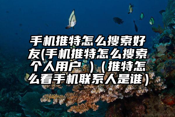 手机推特怎么搜索好友(手机推特怎么搜索个人用户 )（推特怎么看手机联系人是谁）