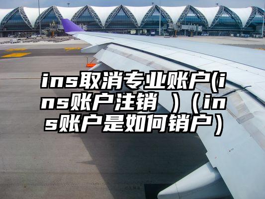 ins取消专业账户(ins账户注销 )（ins账户是如何销户）