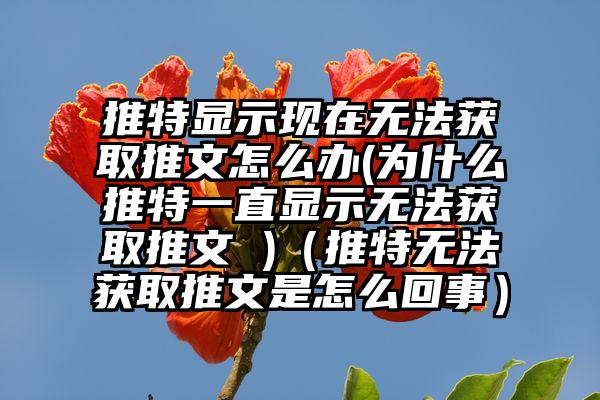 推特显示现在无法获取推文怎么办(为什么推特一直显示无法获取推文 )（推特无法获取推文是怎么回事）