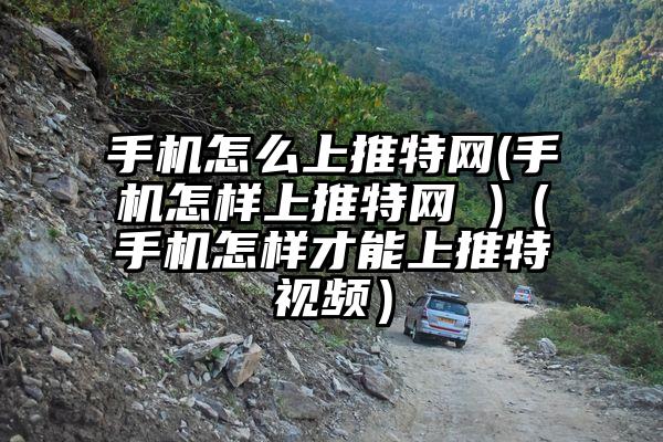 手机怎么上推特网(手机怎样上推特网 )（手机怎样才能上推特视频）