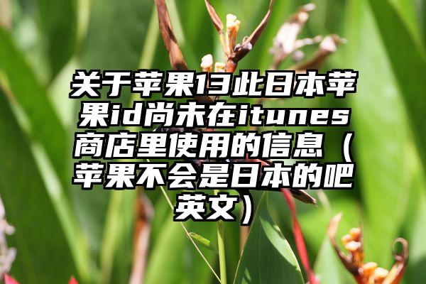 关于苹果13此日本苹果id尚未在itunes商店里使用的信息(苹果不会是日本的吧英文)
