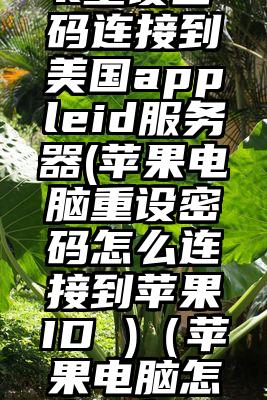 macbook重设密码连接到美国appleid服务器(苹果电脑重设密码怎么连接到苹果ID )(苹果电脑怎么重新输入密码界