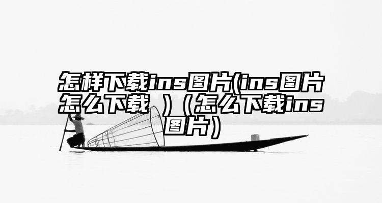 怎样下载ins图片(ins图片怎么下载 )（怎么下载ins图片）
