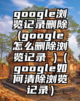 google浏览记录删除(google怎么删除浏览记录 )（google如何清除浏览记录）