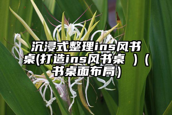 沉浸式整理ins风书桌(打造ins风书桌 )（书桌面布局）