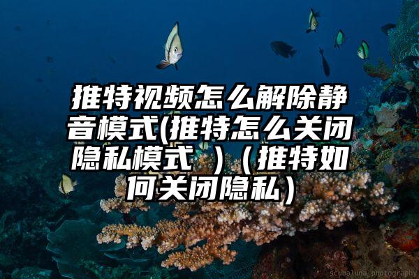 推特视频怎么解除静音模式(推特怎么关闭隐私模式 )（推特如何关闭隐私）