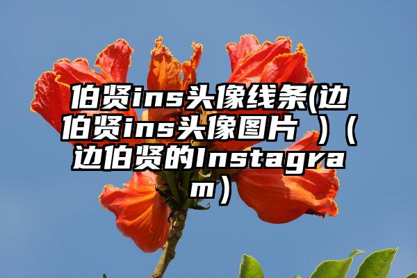 伯贤ins头像线条(边伯贤ins头像图片 )（边伯贤的Instagram）