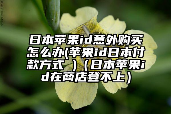 日本苹果id意外购买怎么办(苹果id日本付款方式 )（日本苹果id在商店登不上）