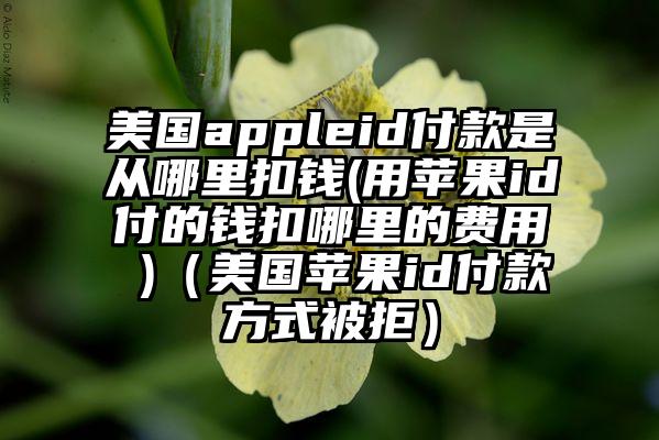 美国appleid付款是从哪里扣钱(用苹果id付的钱扣哪里的费用 )（美国苹果id付款方式被拒）