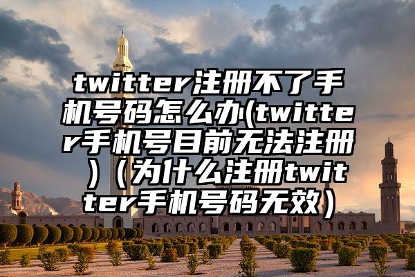 twitter注册不了手机号码怎么办(twitter手机号目前无法注册 )（为什么注册twitter手机号码无效）