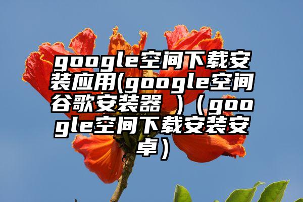 google空间下载安装应用(google空间谷歌安装器 )（google空间下载安装安卓）