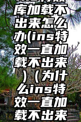 ins特效库加载不出来怎么办(ins特效一直加载不出来 )（为什么ins特效一直加载不出来）