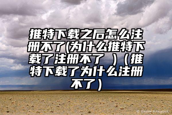 推特下载之后怎么注册不了(为什么推特下载了注册不了 )（推特下载了为什么注册不了）