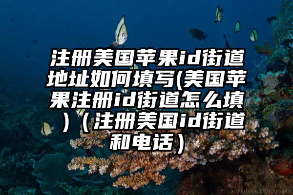 注册美国苹果id街道地址如何填写(美国苹果注册id街道怎么填 )（注册美国id街道和电话）