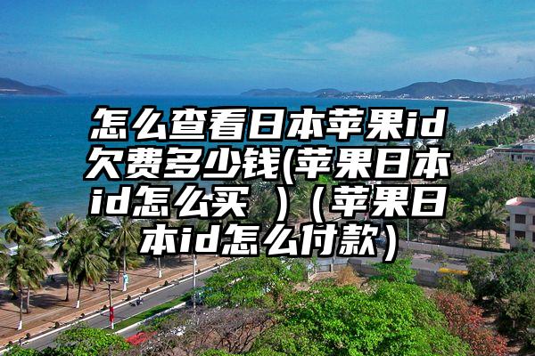 怎么查看日本苹果id欠费多少钱(苹果日本id怎么买 )（苹果日本id怎么付款）