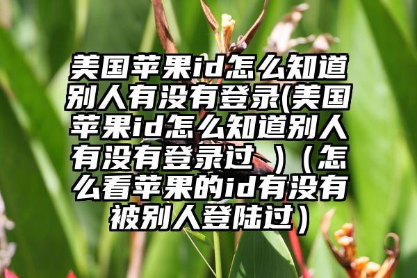美国苹果id怎么知道别人有没有登录(美国苹果id怎么知道别人有没有登录过 )（怎么看苹果的id有没有被别人登陆过）