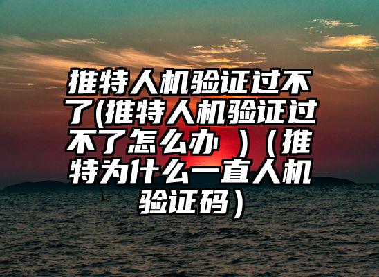 推特人机验证过不了(推特人机验证过不了怎么办 )（推特为什么一直人机验证码）