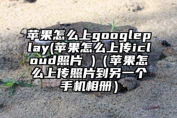 苹果怎么上googleplay(苹果怎么上传icloud照片 )（苹果怎么上传照片到另一个手机相册）