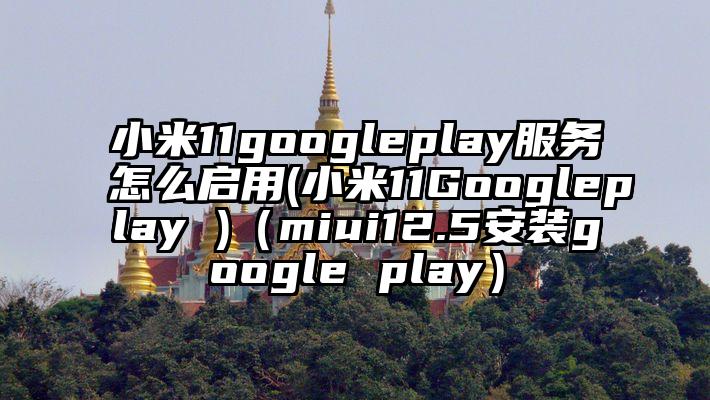 小米11googleplay服务怎么启用(小米11Googleplay )（miui12.5安装google play）