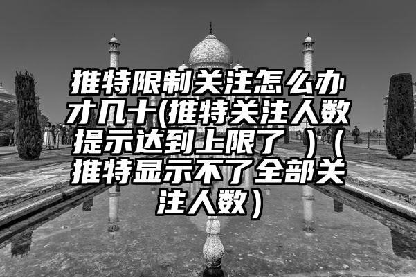 推特限制关注怎么办才几十(推特关注人数提示达到上限了 )（推特显示不了全部关注人数）