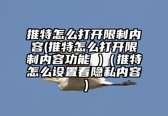 推特怎么打开限制内容(推特怎么打开限制内容功能 )(推特怎么设置看隐私内容)