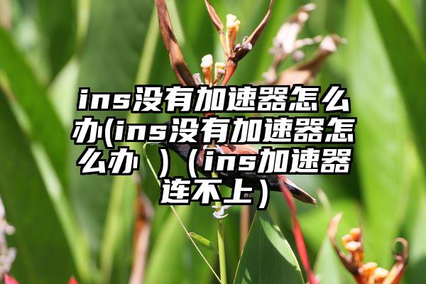 ins没有加速器怎么办(ins没有加速器怎么办 )（ins加速器连不上）