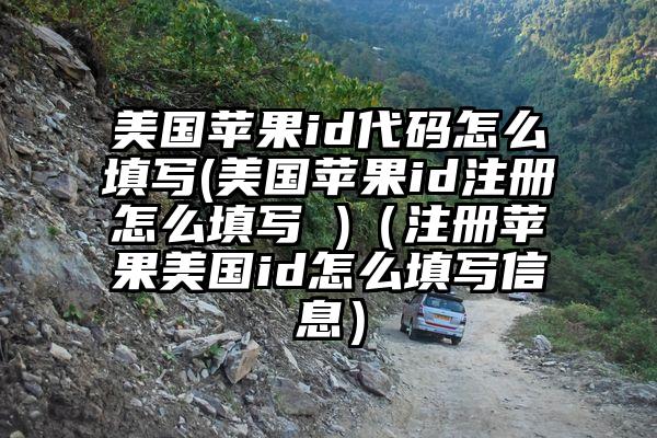美国苹果id代码怎么填写(美国苹果id注册怎么填写 )（注册苹果美国id怎么填写信息）