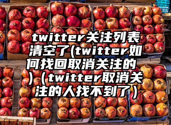 twitter关注列表清空了(twitter如何找回取消关注的 )（twitter取消关注的人找不到了）