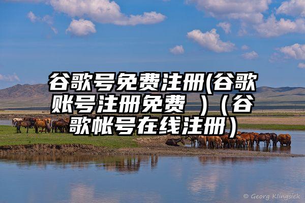 谷歌号免费注册(谷歌账号注册免费 )（谷歌帐号在线注册）