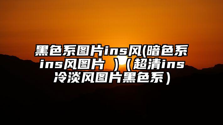 黑色系图片ins风(暗色系ins风图片 )(超清ins冷淡风图片黑色系)