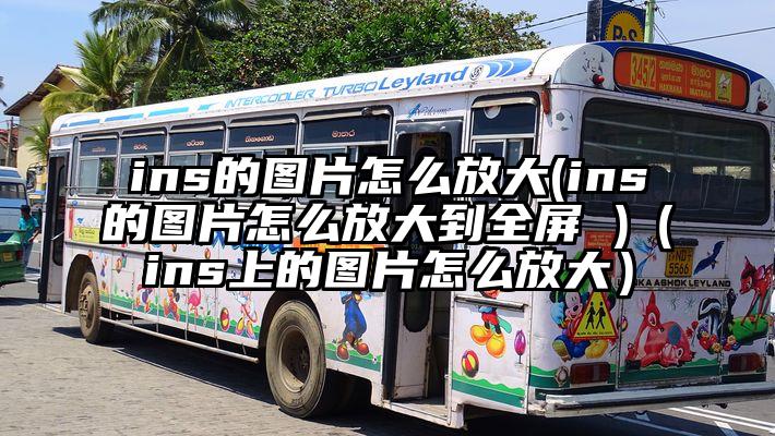 ins的图片怎么放大(ins的图片怎么放大到全屏 )（ins上的图片怎么放大）