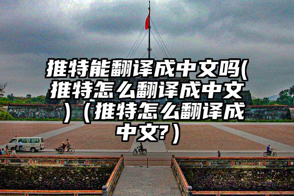 推特能翻译成中文吗(推特怎么翻译成中文 )（推特怎么翻译成中文?）