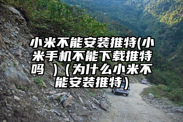 小米不能安装推特(小米手机不能下载推特吗 )（为什么小米不能安装推特）