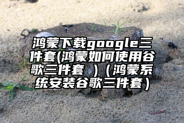鸿蒙下载google三件套(鸿蒙如何使用谷歌三件套 )（鸿蒙系统安装谷歌三件套）
