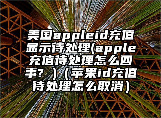 美国appleid充值显示待处理(apple充值待处理怎么回事? )（苹果id充值待处理怎么取消）