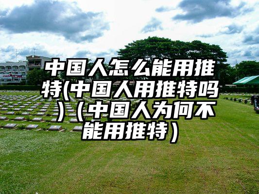 中国人怎么能用推特(中国人用推特吗 )（中国人为何不能用推特）