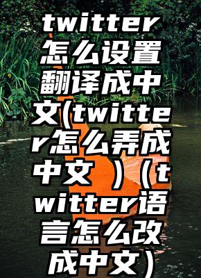 twitter怎么设置翻译成中文(twitter怎么弄成中文 )（twitter语言怎么改成中文）