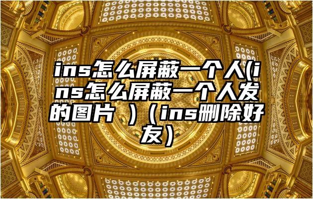 ins怎么屏蔽一个人(ins怎么屏蔽一个人发的图片 )（ins删除好友）