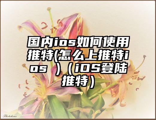 国内ios如何使用推特(怎么上推特ios )（iOS登陆推特）