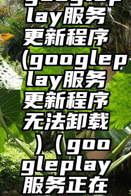 googleplay服务更新程序(googleplay服务更新程序无法卸载 )（googleplay服务正在更新）
