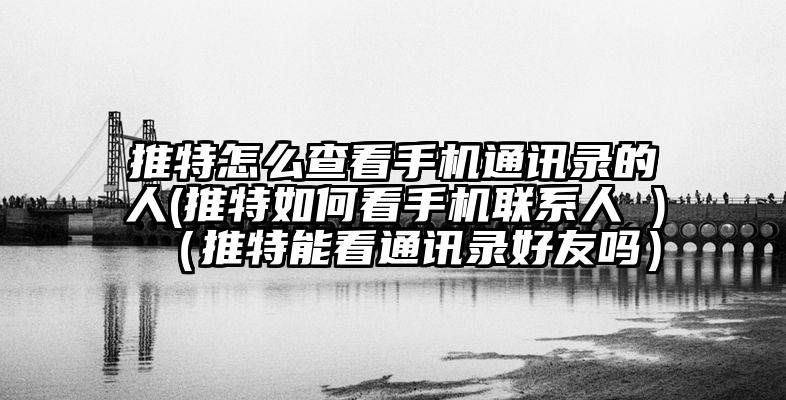 推特怎么查看手机通讯录的人(推特如何看手机联系人 )（推特能看通讯录好友吗）