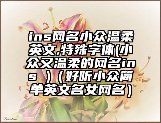 ins网名小众温柔英文,特殊字体(小众又温柔的网名ins )（好听小众简单英文名女网名）