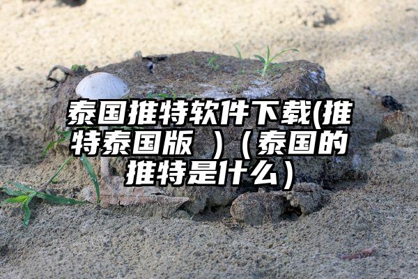泰国推特软件下载(推特泰国版 )（泰国的推特是什么）