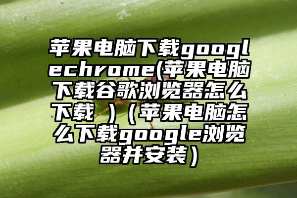 苹果电脑下载googlechrome(苹果电脑下载谷歌浏览器怎么下载 )（苹果电脑怎么下载google浏览器并安装）