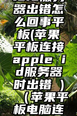 美国appleid服务器出错怎么回事平板(苹果平板连接apple id服务器时出错 )（苹果平板电脑连接apple id